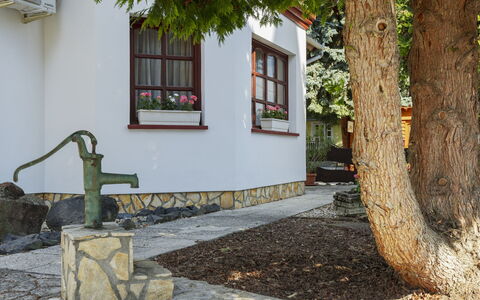 Tamas: \Fels, Hütte, Garten, Steinwand, Garten, Landscaping, Cobblestone, Hinterhof, Walkway