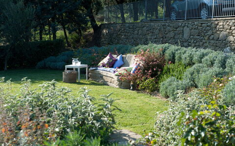 Villa Adelfa: Pflanze, Pflanzengemeinschaft, Blume, Baum, Vegetation, Grundstueck, Natürliche Landschaft, Gras, Hecke, Gartenmöbel
