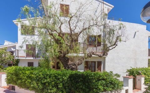 Blanca Mediterranea: Gebäude, Wand, Fenster, Wohngebiet, Haus, Fassade, Nachbarschaft, Zuhause, Strauch, Menschliche Siedlung