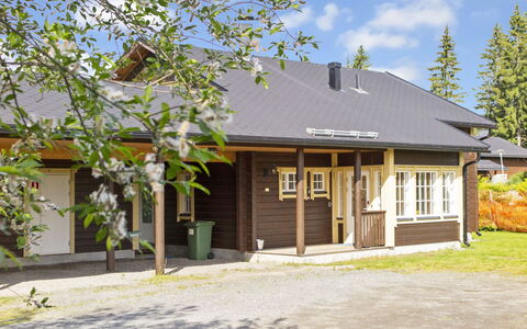 Tahkontupa: Dach, Haus, Hütte, Zuhause, Wohngebiet, Grundstueck, Abstellgleis, Schatten, Veranda, Estate