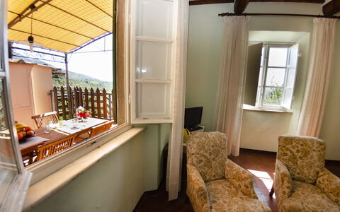 Alla Collina Del Sole: Möbel, Fenster, Gebäude, Holz, Wohnzimmer, Interior Design, Schatten, Lampe, Couch, Vorhang