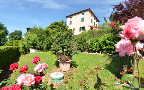 Alla Collina Del Sole: Blume, Pflanze, Wolke, Himmel, Fenster, Grün, Botanik, Natur, Gebäude, Natürliche Landschaft