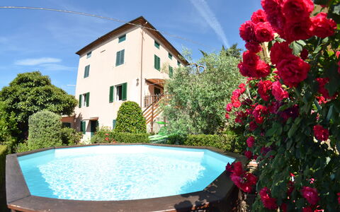Alla Collina Del Sole: Blume, Wasser, Himmel, Pflanze, Eigentum, Daytime, Wolke, Grün, Gebäude, Blau