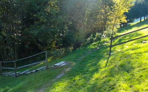 Chalet 969: Pflanze, Pflanzengemeinschaft, Grün, Natürliche Landschaft, Natürlichen Umgebung, Baum, Schatten, Botanik, Grundstueck, Vegetation
