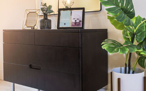 Sir Jl: Pflanze, Eigentum, Weiss, Blumentopf, Zimmerpflanze, Licht, Cabinetry, Beleuchtung, Interior Design, Holz