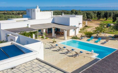Masseria Tufo Bianco: Gebäude, Himmel, Eigentum, Schwimmbad, Wasser, Azurblau, Baum, Gartenmöbel, Schatten, Die Architektur