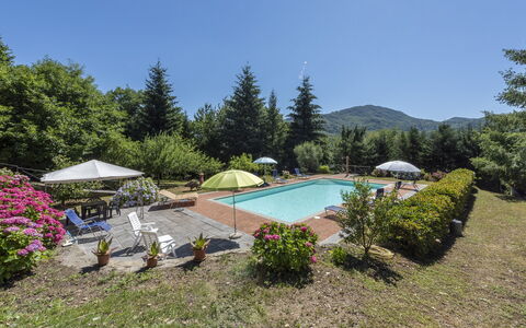 Villa Rosata: Pflanze, Wasser, Blume, Regenschirm, Pflanzengemeinschaft, Schwimmbad, Himmel, Baum, Gartenmöbel, Natürliche Landschaft