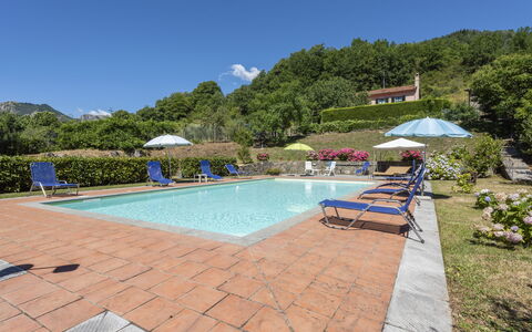 Villa Rosata: Wasser, Pflanze, Himmel, Möbel, Stuhl, Gebäude, Schwimmbad, Regenschirm, Baum, Gartenmöbel