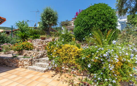 El Suro: Blume, Strauch, Garten, Blühende Pflanze, Landscaping, Botanischer Garten, Garten