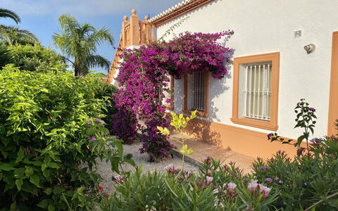 Harmony: Blume, Pflanze, Himmel, Gebäude, Wolke, Fenster, Lila, Haus, Baum, Wohngebiet