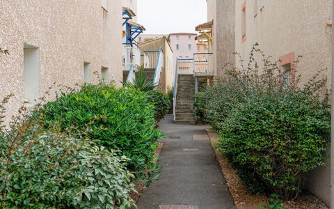 Les Jardins du Nil: Pflanze, Azurblau, Gebäude, Strassenbelag, Vegetation, Nachbarschaft, Biome, Gras, Strauch, Ground