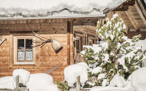 Lindenalm: Pflanze, Fenster, Schnee, Gebäude, Weiss, Blume, Ast, Zweig, Holz, Einfrieren