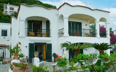 Ischia Casamicciola 3: Pflanze, Wolke, Gebäude, Eigentum, Himmel, Fenster, Weiss, Botanik, Haus, Die Architektur