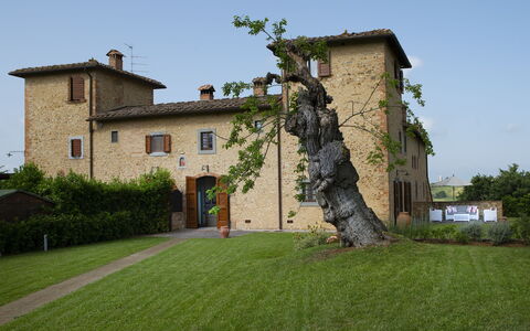 Villa Pianora: Himmel, Pflanze, Eigentum, Gebäude, Fenster, Baum, Grundstueck, Gras, Haus, Fassade