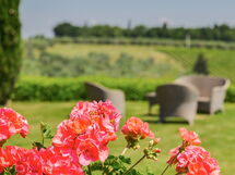 Sole Del Chianti