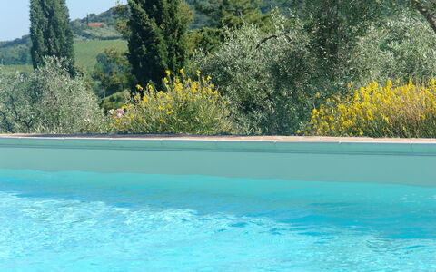 Tenuta Le Sodole: Wasser, Himmel, Pflanze, Eigentum, Schwimmbad, Pflanzengemeinschaft, Baum, Natur, Azurblau, Natürliche Landschaft