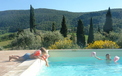 Tenuta Le Sodole: Wasser, Eigentum, Himmel, Schwimmbad, Baum, Azurblau, Gewässer, Pflanze, Gartenmöbel
