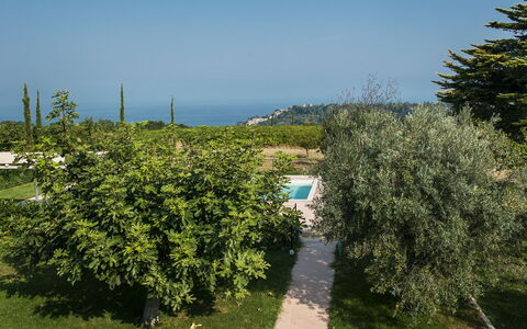 Villa Degli Aranci: Himmel, Pflanze, Pflanzengemeinschaft, Natürliche Landschaft, Vegetation, Grundstueck, Gras, Biome, Strauch, Landwirtschaft