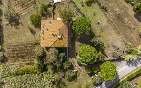 Holiday Home Giannella: Pflanze, Eigentum, Grundstueck, Gebäude, Vegetation, Gras, Urban Design, Biome, Natürliche Landschaft, Wohngebiet