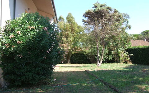 Casa Argentario: Pflanze, Eigentum, Himmel, Baum, Grundstueck, Strassenbelag, Schatten, Gras, Ground, Natürliche Landschaft
