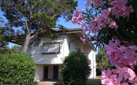 Casa Argentario: Blume, Pflanze, Himmel, Daytime, Fenster, Gebäude, Natur, Botanik, Baum, Ast