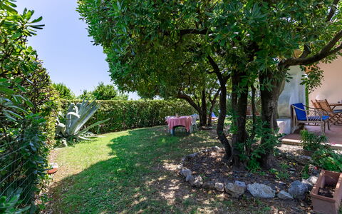 Villa Il Pesco: Pflanze, Eigentum, Natur, Blatt, Baum, Vegetation, Himmel, Biome, Gras, Gehölz