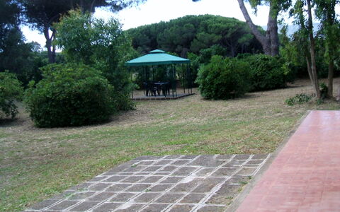 Giannella Holiday Apartment: Pflanze, Eigentum, Blatt, Baum, Botanik, Schatten, Strassenbelag, Vegetation, Grundstueck, Gras