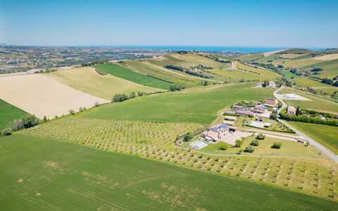 Villa Clair: Vogelperspektive, Einfach, Landschaft, Natürliche Landschaft, Luftaufnahmen, Feld, Wiese, Grundstueck, Ländliches Gebiet, Landwirtschaft