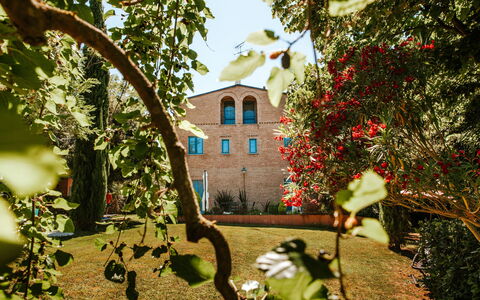 Villa Millefiori: Pflanze, Gebäude, Blume, Fenster, Blatt, Botanik, Ast, Die Architektur, Vegetation, Haus