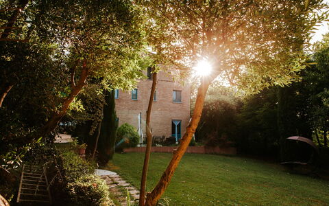 Villa Millefiori: Pflanze, Blatt, Baum, Ast, Beleuchtung, Sonnenlicht, Natürliche Landschaft, Strassenlicht, Vegetation, Gras