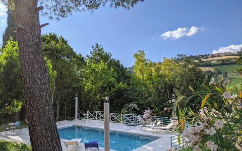 Villa Millefiori: Wasser, Pflanze, Himmel, Wolke, Schwimmbad, Natürliche Landschaft, Baum, Schatten, Freizeit, Grundeigentum