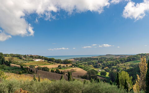 Villa Vagnini: Wolke, Himmel, Pflanze, Azurblau, Natürliche Landschaft, Natürlichen Umgebung, Baum, Hochland, Grundstueck, Sonnenlicht