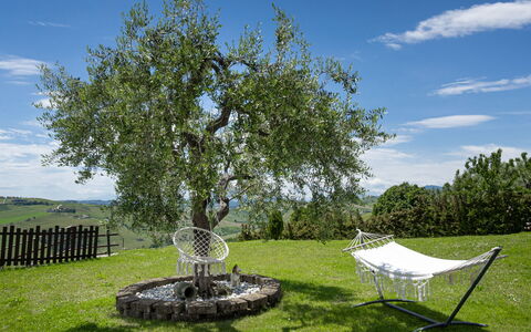 La Casa Di Campagna: Gras, Ast, Wiese, Einfach, Garten, Kofferraum, Rasen, Zweig, Gehölz, Wiese