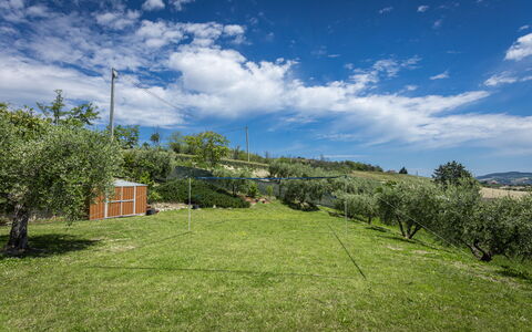 La Casa Di Campagna: Gras, Landschaft, Wiese, Einfach, Grundstueck, Ländliches Gebiet, Weide, Wiese, Feld, Rasen