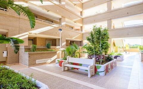 Jardines del Mar Ii - Marina D'Or: Pflanze, Eigentum, Interior Design, Urban Design, Gartenmöbel, Grundeigentum, Gebäude, Zimmerpflanze, Fassade, Bank