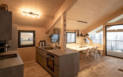 Unterkunft:&nbsp;Superior # 02 Sauna&Sprudelwanne Innen 300.3