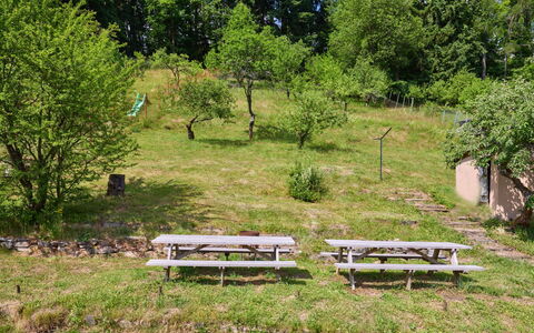 Hillside Lodge & Garden: Pflanze, Außenbank, Pflanzengemeinschaft, Baum, Botanik, Vegetation, Natürliche Landschaft, Gartenmöbel, Gras, Ground