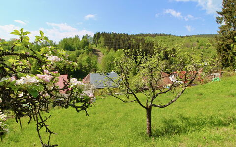 Hillside Lodge & Garden: Wasser, Pflanze, Gebäude, Daytime, Eigentum, Himmel, Schwimmbad, Azurblau, Baum, Gewässer