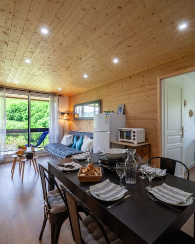 Pegase Phenix 310.71