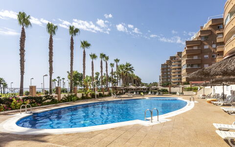Oropesa del Mar 216: Weiss, Nummer, Bildschirmfoto