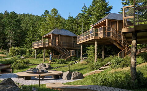 Premium Baumhaus mit 1 Schlafzimmer: Pflanze, Himmel, Fenster, Gebäude, Baum, Natürliche Landschaft, Hütte, Haus, Holz, Grundstueck