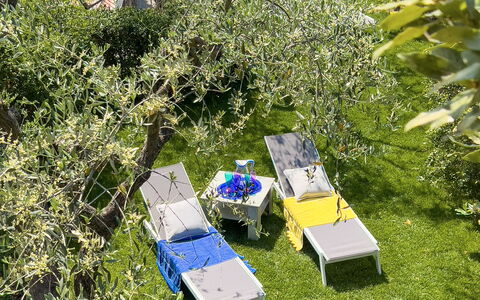 Villa La Rodina - Diano Marina: Pflanze, Pflanzengemeinschaft, Natürliche Landschaft, Vegetation, Grundstueck, Gras, Biome, Baum, Strauch, Ground