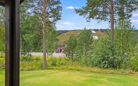Tahkon Klubitie 4 a: Gras, Strauch, Grundstueck, Garten, Ground, Frühling, Landscaping, Rasen, Wiese, Schatten