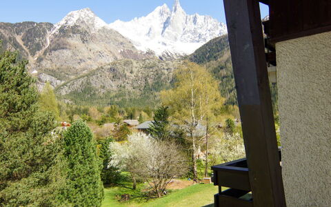 Alpen Roc: Pflanze, Berg, Himmel, Eigentum, Natur, Natürliche Landschaft, Schatten, Hochland, Baum, Biome