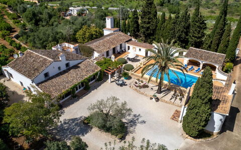 Palomas