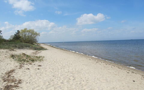 Philipp: Wolke, Wasser, Himmel, Pflanze, Ökoregion, Strand, Küsten Und Ozeanische Forms, Bank, Natürliche Landschaft, Baum