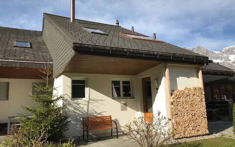 Hostattstrasse 20: Dach, Haus, Hütte, Zuhause, Abstellgleis, Steigung, Schatten, Garten, Hinterhof