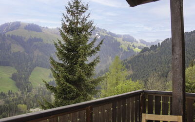 Chalet les Pitchounes - Moléson, Freiburg, Schweiz