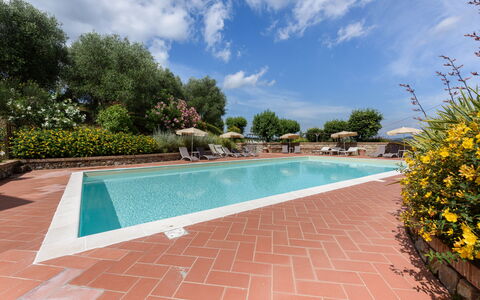 Villa Varna: Wasser, Pflanze, Wolke, Himmel, Eigentum, Schwimmbad, Gewässer, Baum, Blume, Schatten