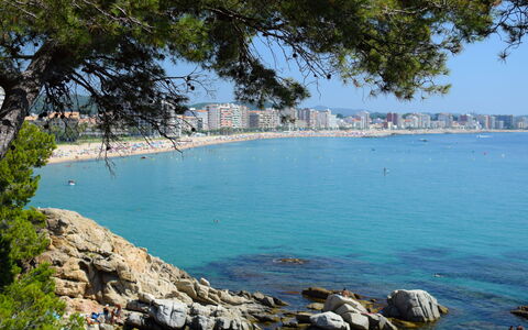 Montse: Wasser, Pflanze, Himmel, Azurblau, Baum, Küsten Und Ozeanische Forms, Bank, See, Strand, Freizeit